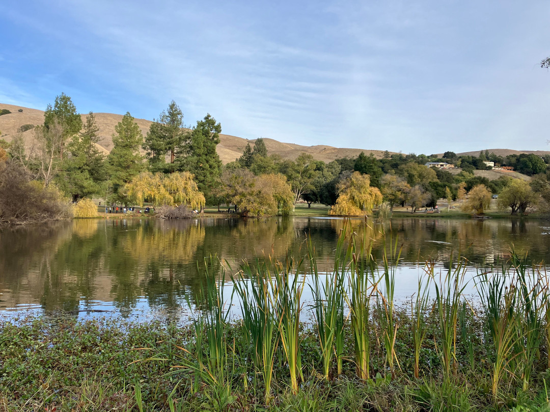 艾德莱文县公园-米尔皮塔斯必去景点