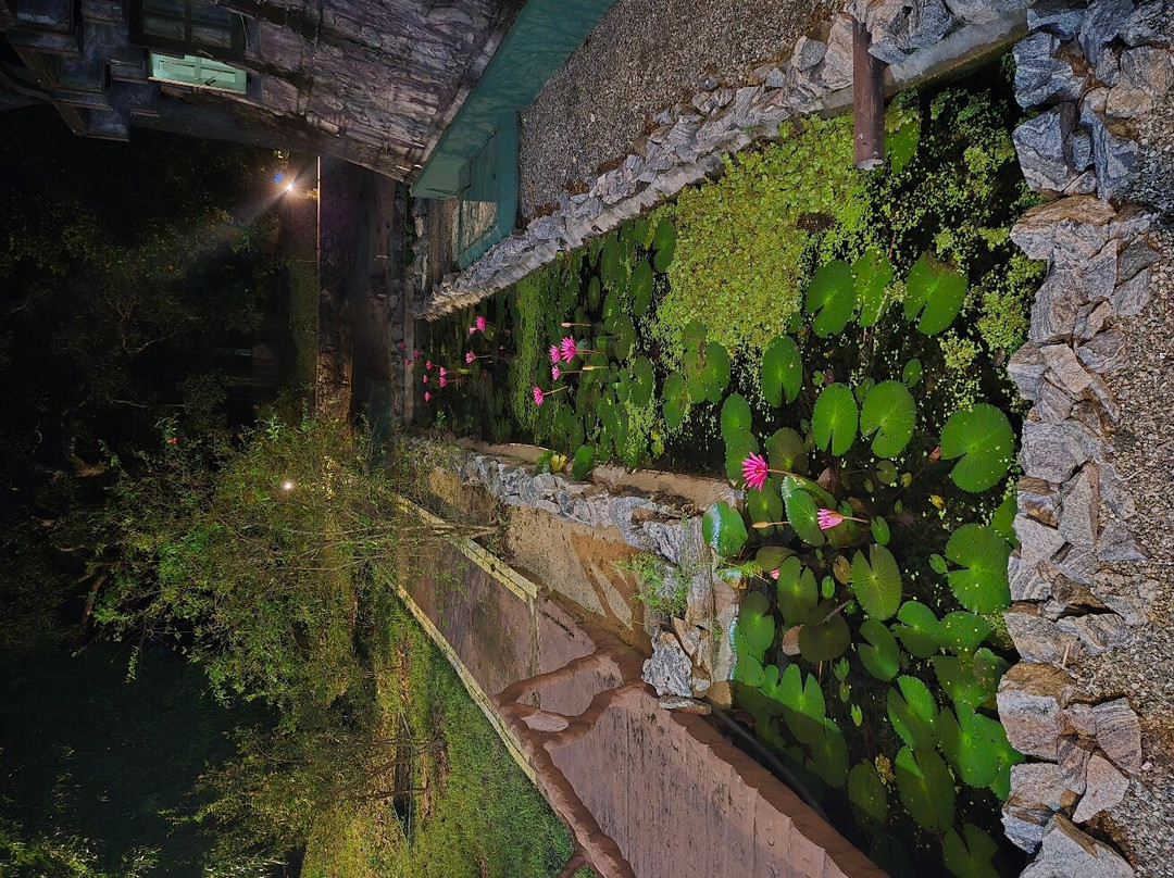 Ayurveda Kuren Maho主图