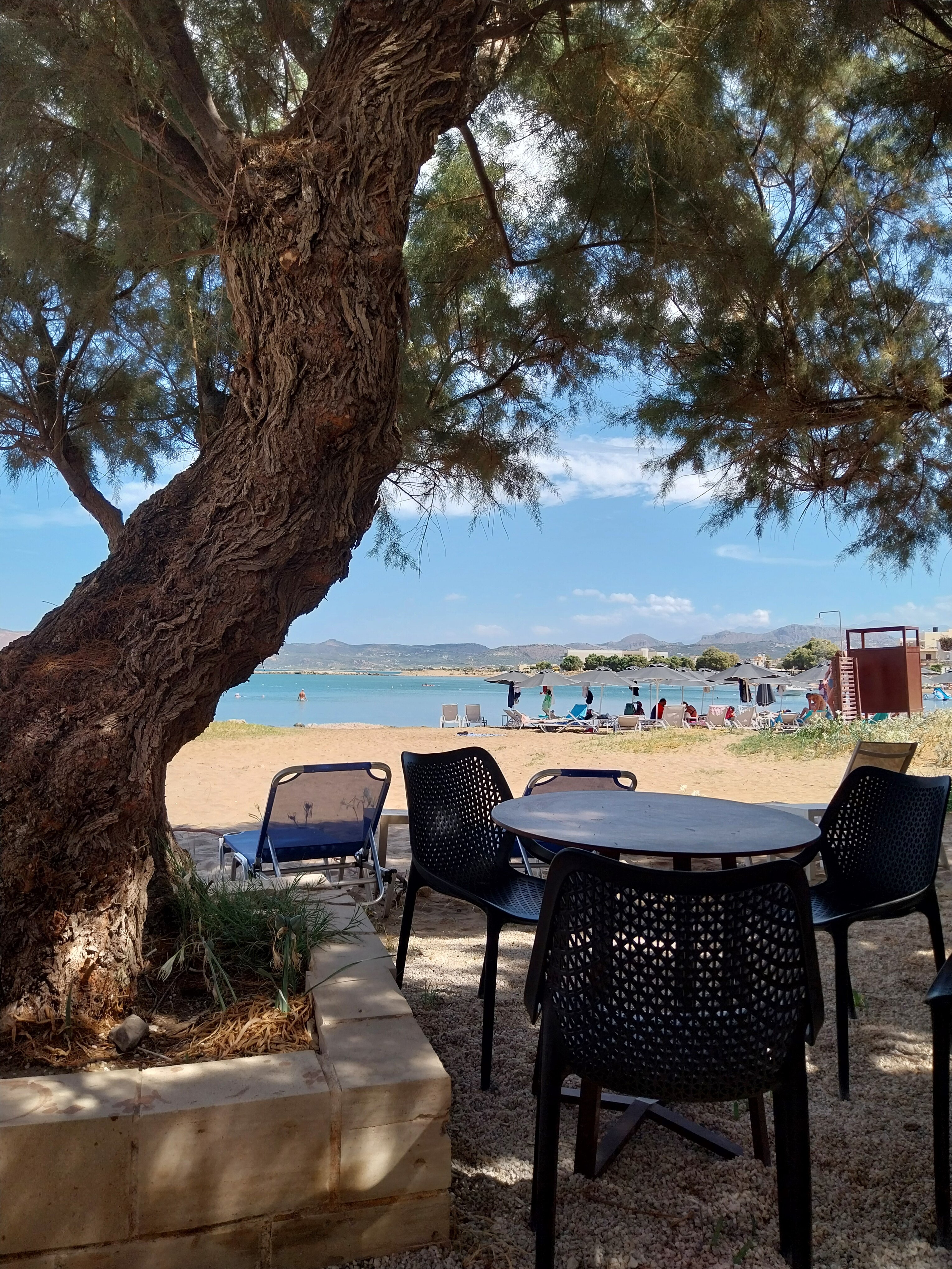 Elena Beach Hotel-泳池