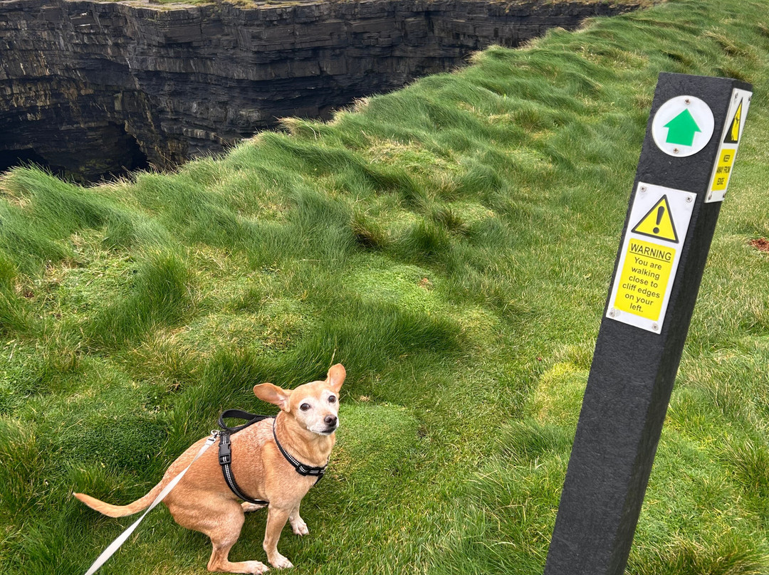 Downpatrick Head-Ballycastle必去景点