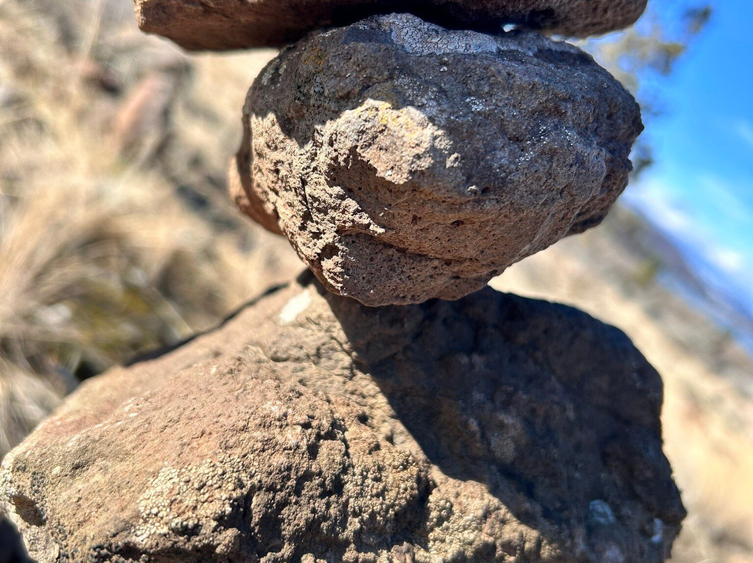 Moore Park-克拉马斯福尔斯必去景点