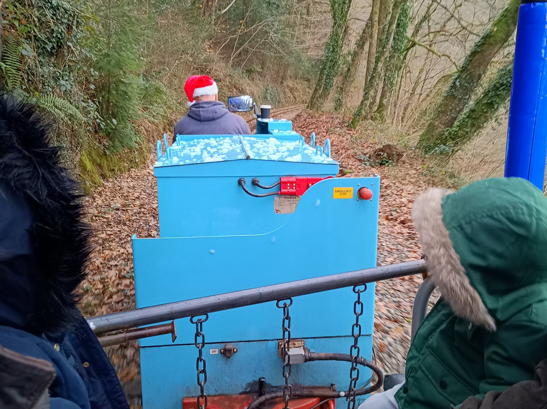 Mine Train Adventure Morwellham Quay景点图片