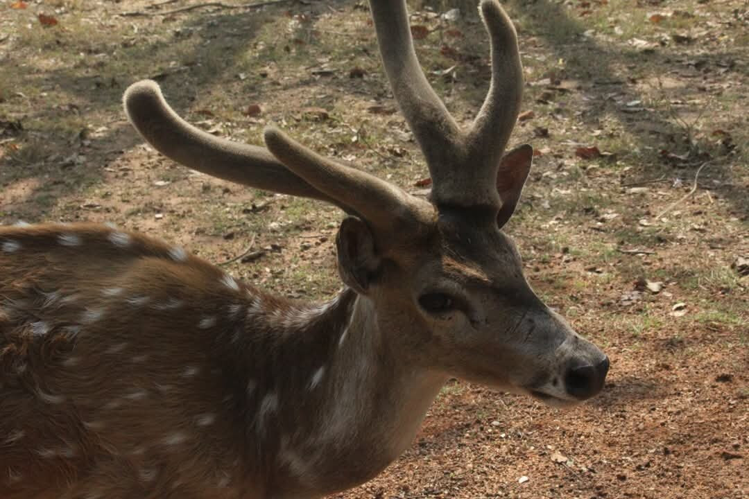 Deul Park-杜加浦必去景点