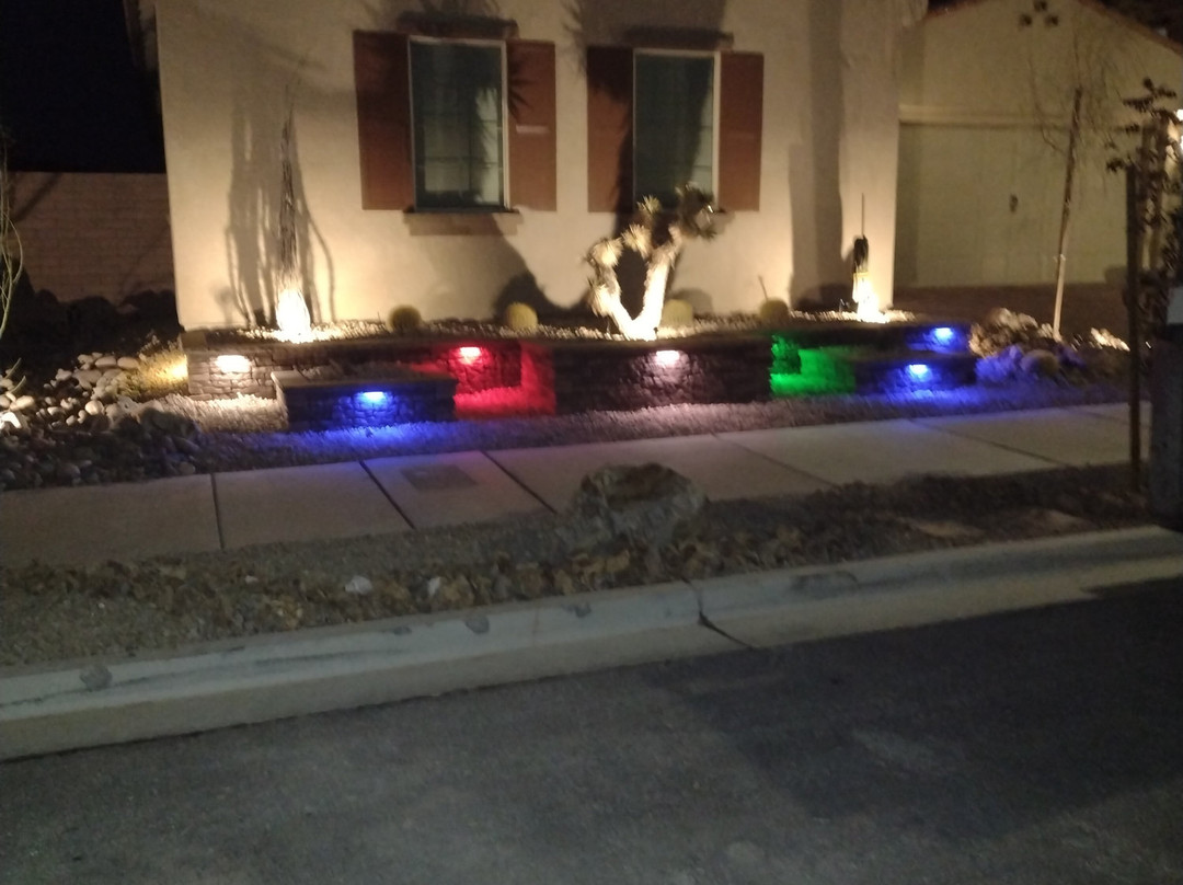 Cactus Joe's Blue Diamond Nursery-拉斯维加斯必去景点