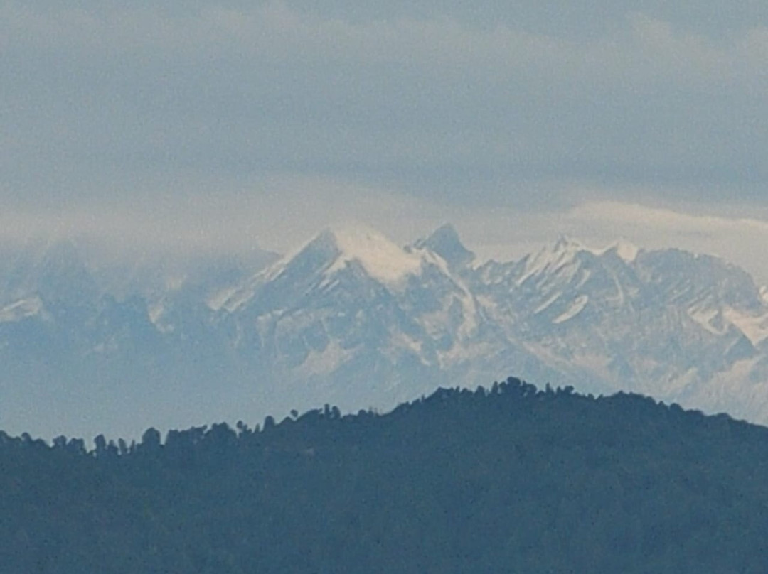 黑天兰花度假村主图