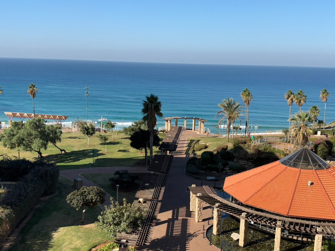 David Tower Hotel主图