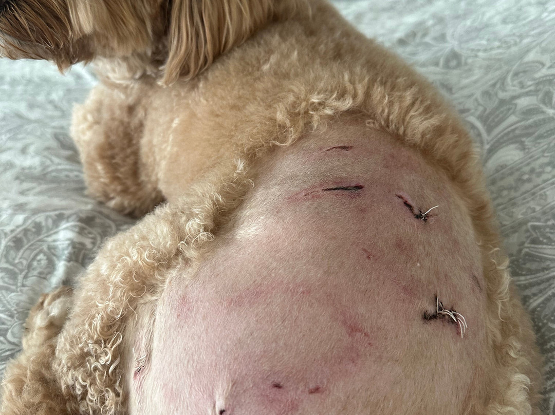 Catarata Salto de Collores-Juana Diaz必去景点