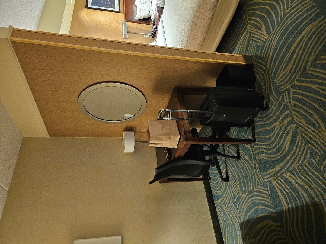 SpringHill Suites by Marriott Arundel Mills BWI Airport主图