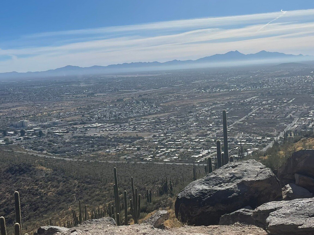 Tumamoc Hill-图森必去景点