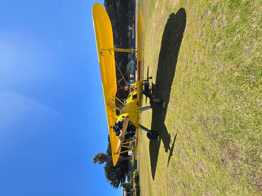 Tiger Moth World-托基必去景点