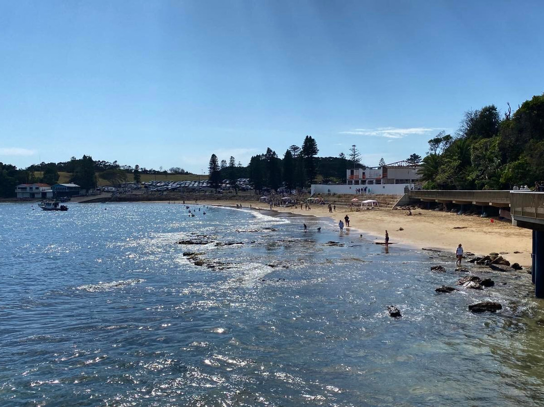 Terrigal Boardwalk景点图片