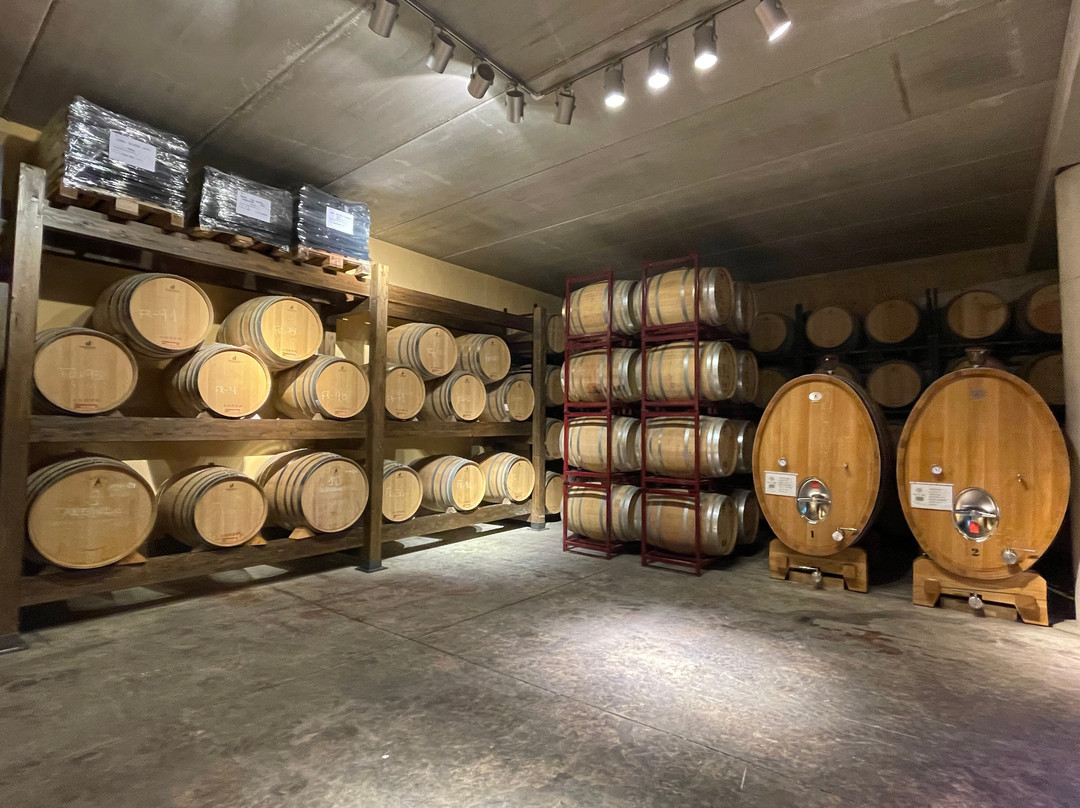 Bodega Vega Tolosa-Casas Ibanez必去景点