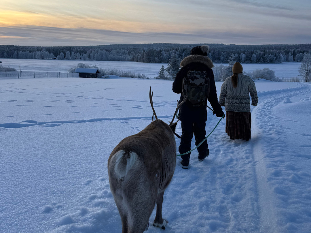 Local Lifestyle Rovaniemi-罗瓦涅米必去景点