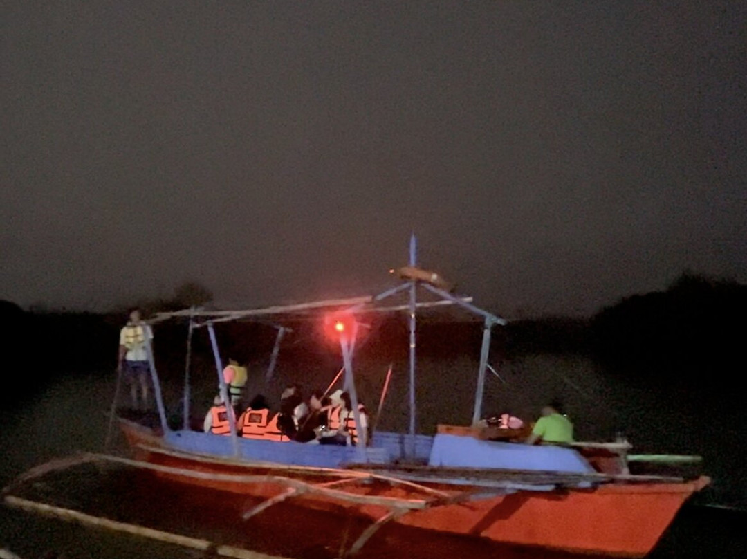 Maribojoc Mangrove Firefly Watching-Maribojoc必去景点