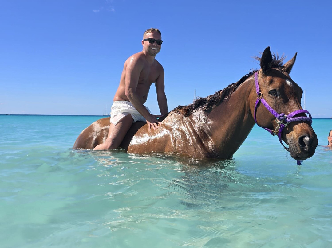 Sunflower Stables Barbados-Mangrove必去景点