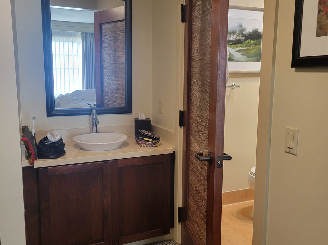 阿夫雷戈酒店主图