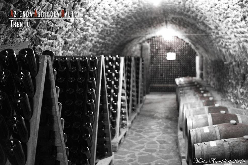 Azienda Agricola Balter景点图片