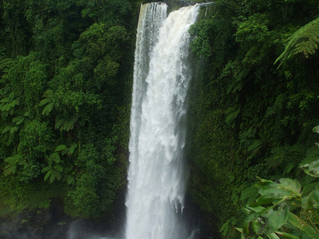 Fuipisia Waterfall-Upolu必去景点
