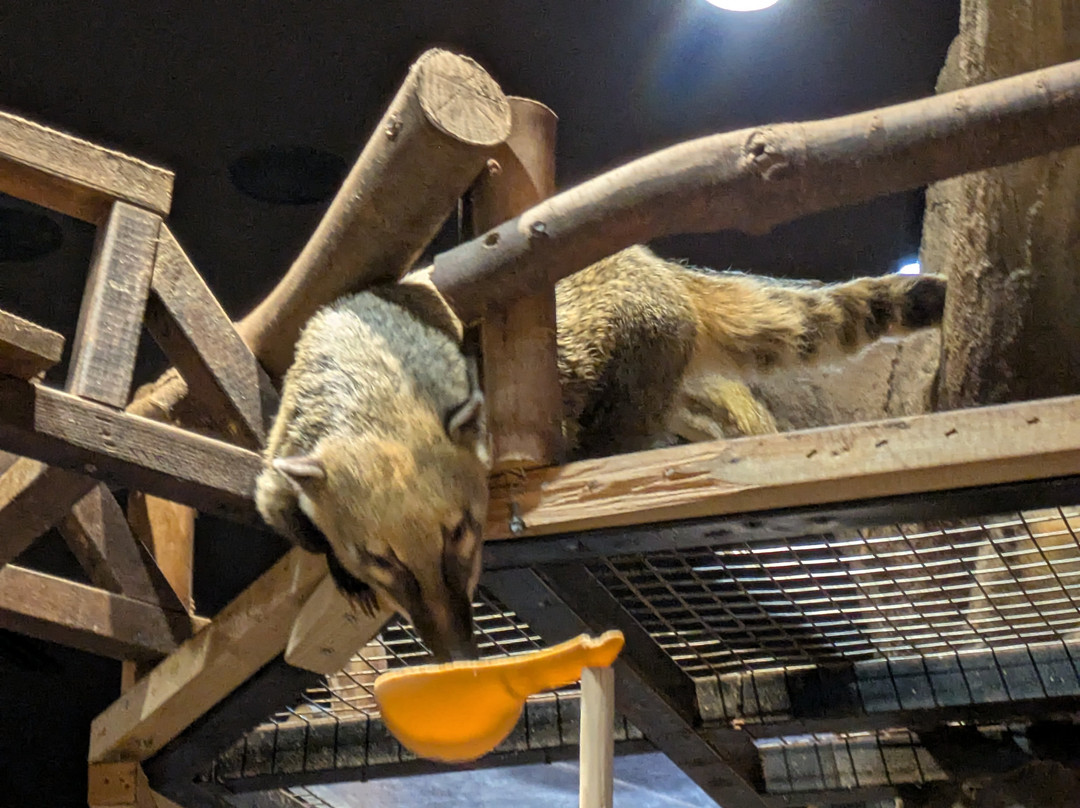 Zoolung Zoolung - Hanam-河南市必去景点