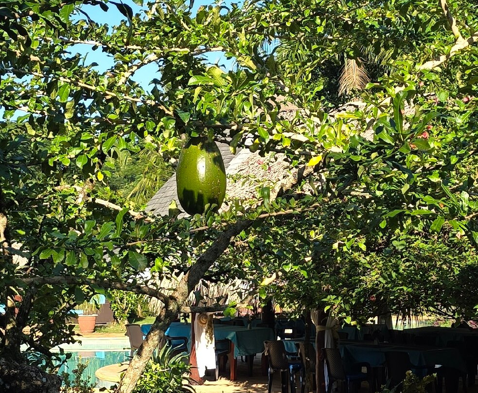 Las Puertas Del Paraiso主图