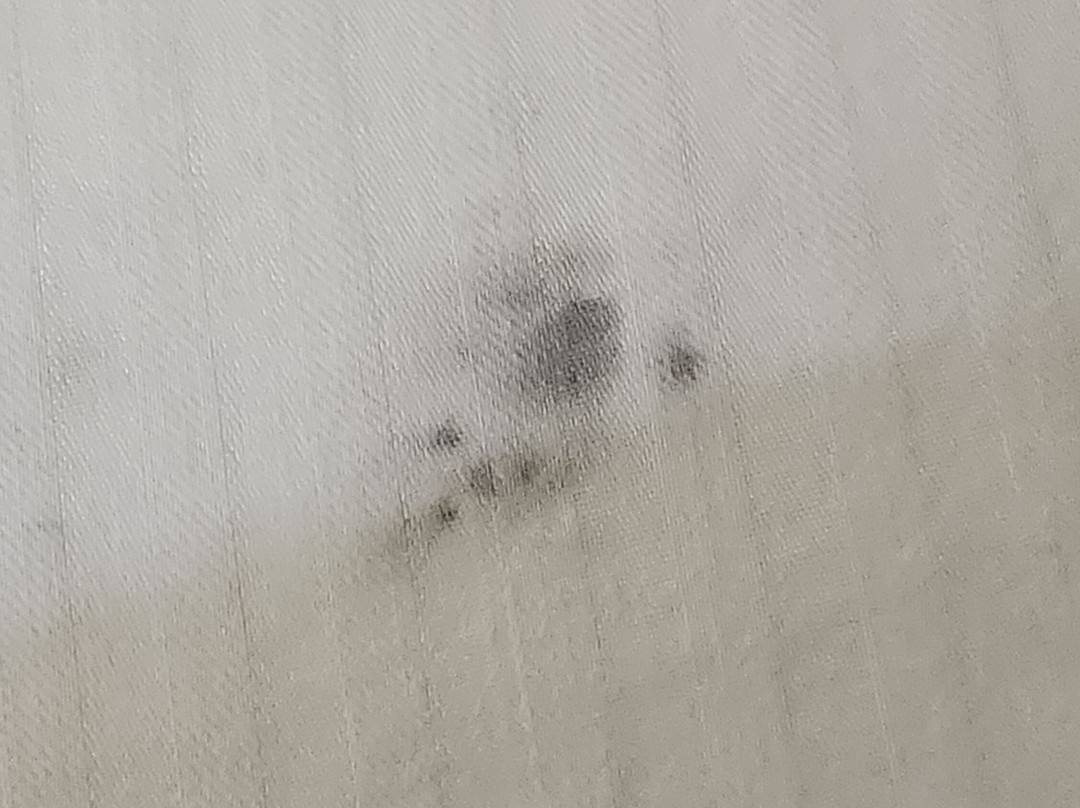 图森机场套房酒店主图