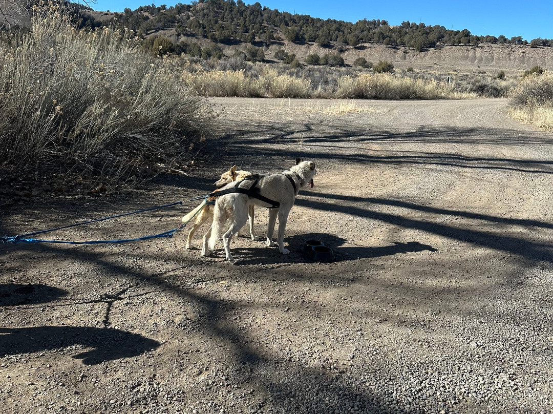 Mountain Paws-帕戈萨斯普林斯必去景点