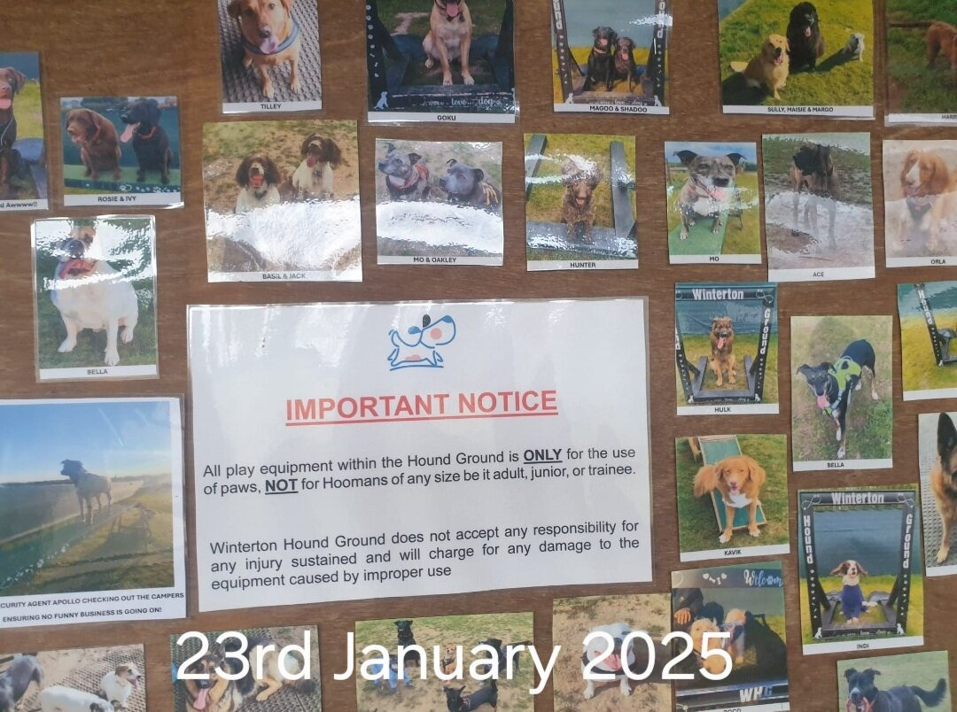 Winterton Hound Ground景点图片