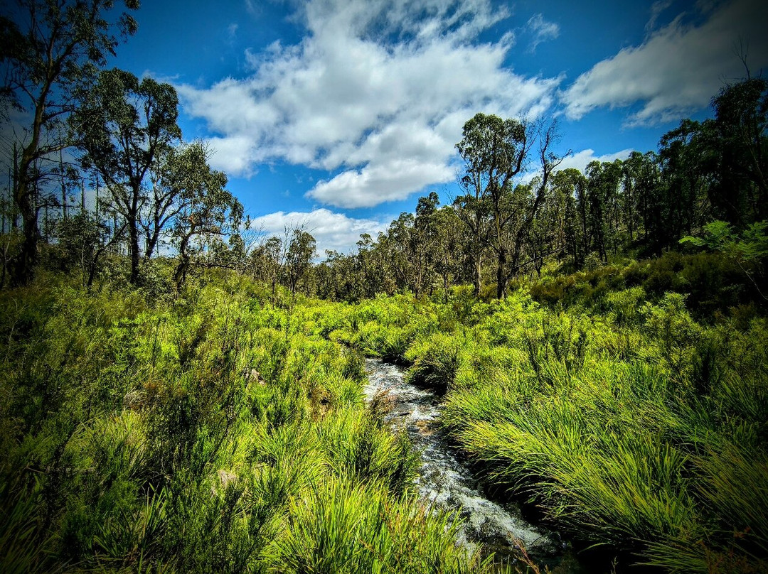 Morton National Park景点图片