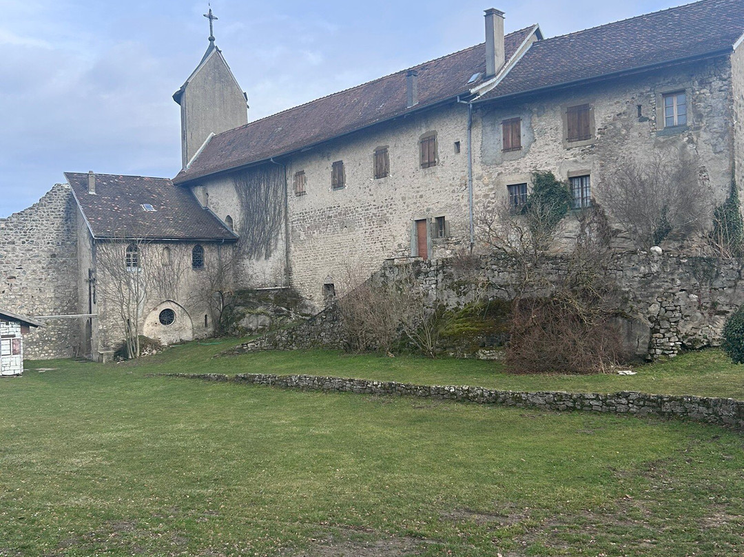 Châteaux des Allinges景点图片