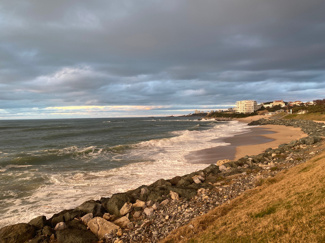 Plage de la Milady景点图片