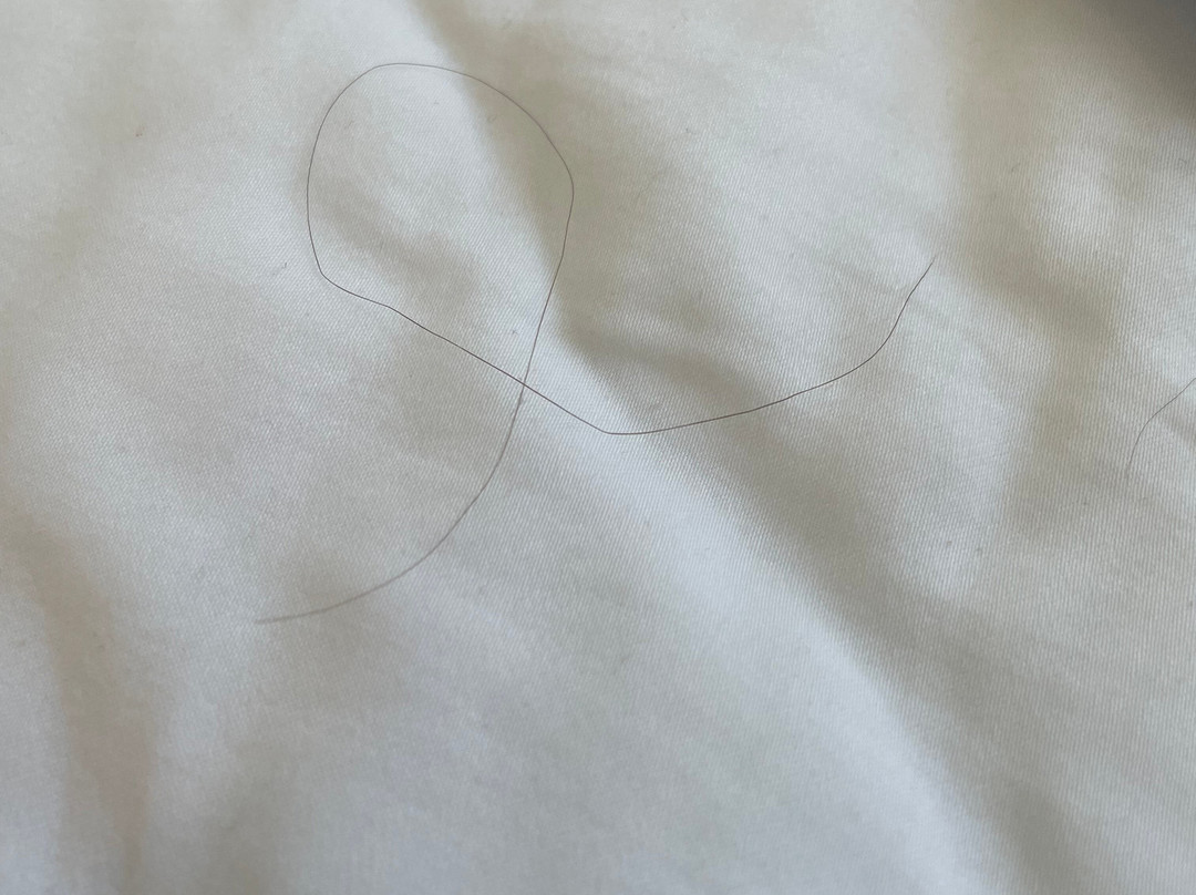 索萨利托酒店主图