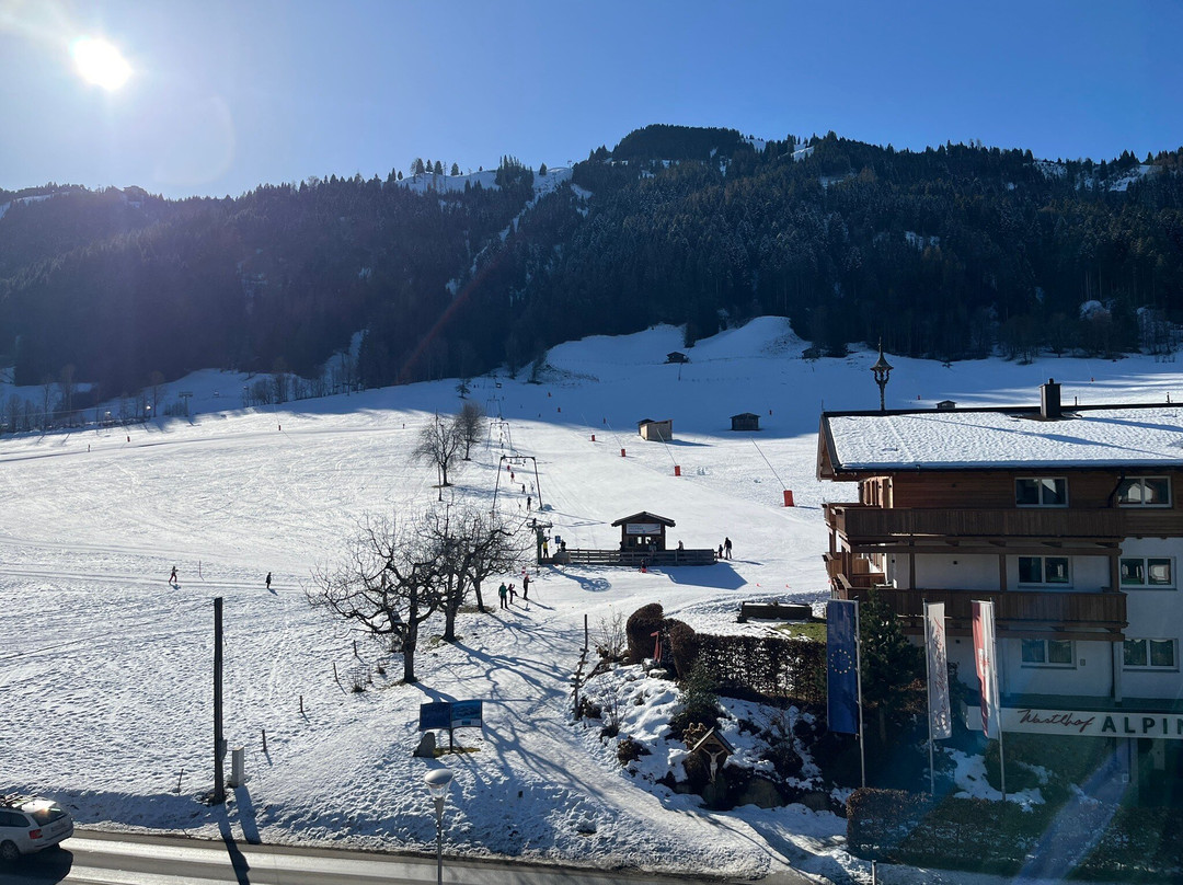 Hotel & Alpin Lodge Der Wastlhof主图