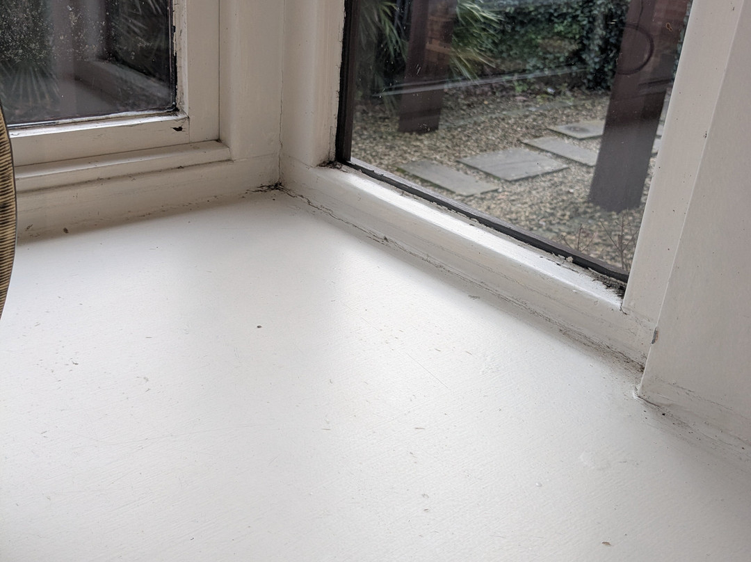 The Pilgrim Inn Marchwood主图