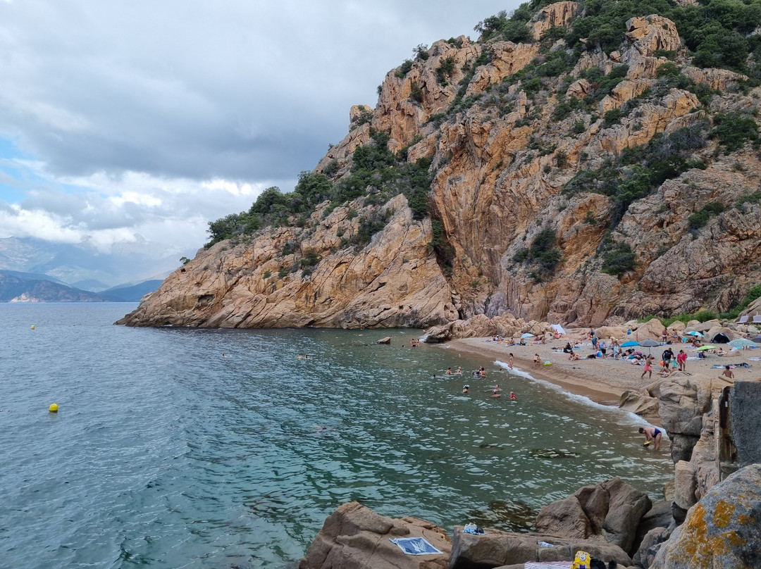 Plage de Ficajola景点图片