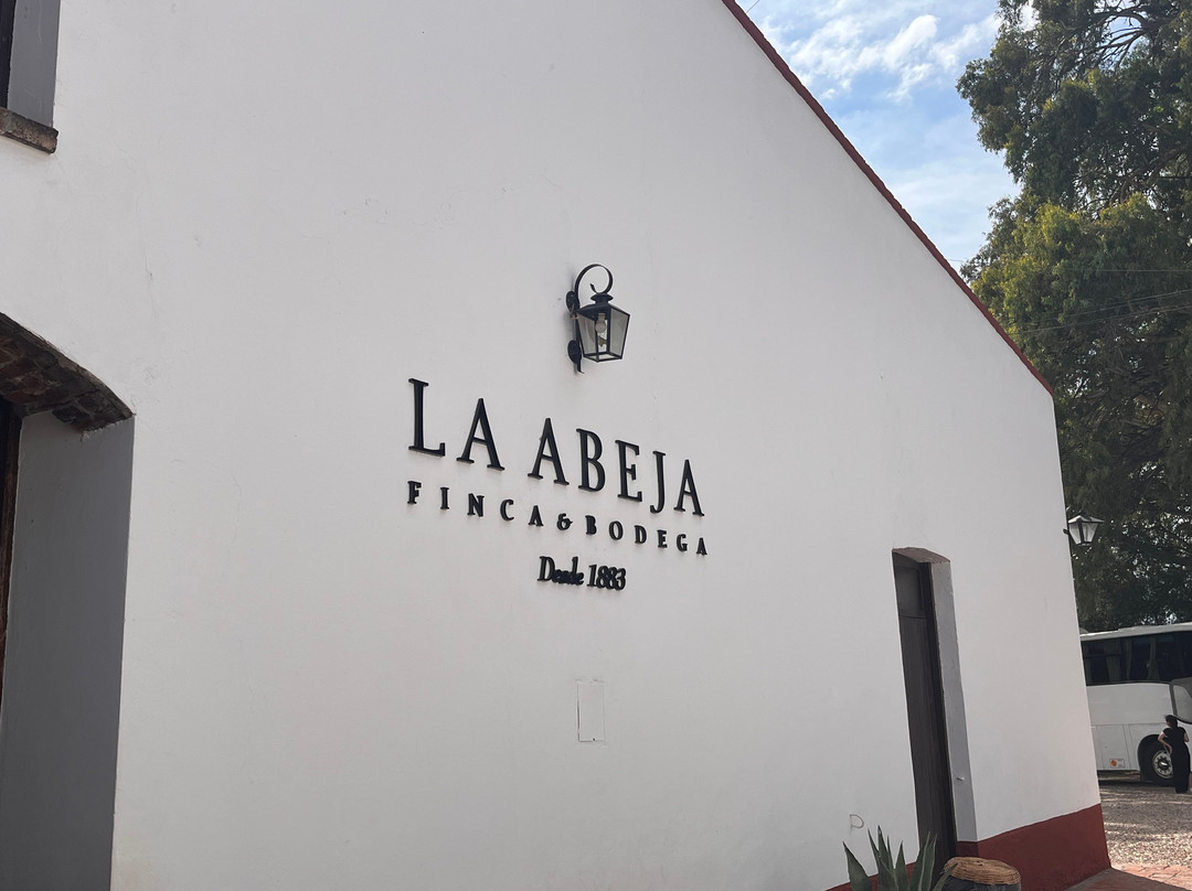 La Abeja Winery-圣拉斐尔必去景点