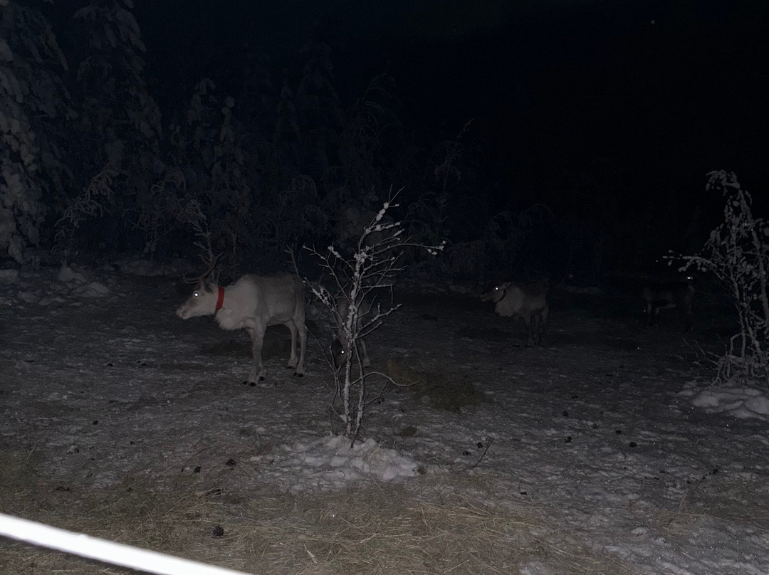 Visit Lapland Tours-罗瓦涅米必去景点