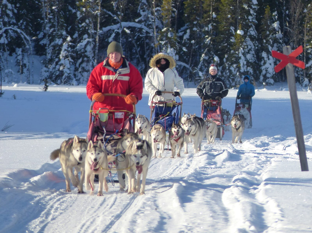 Nordic Husky Farm景点图片