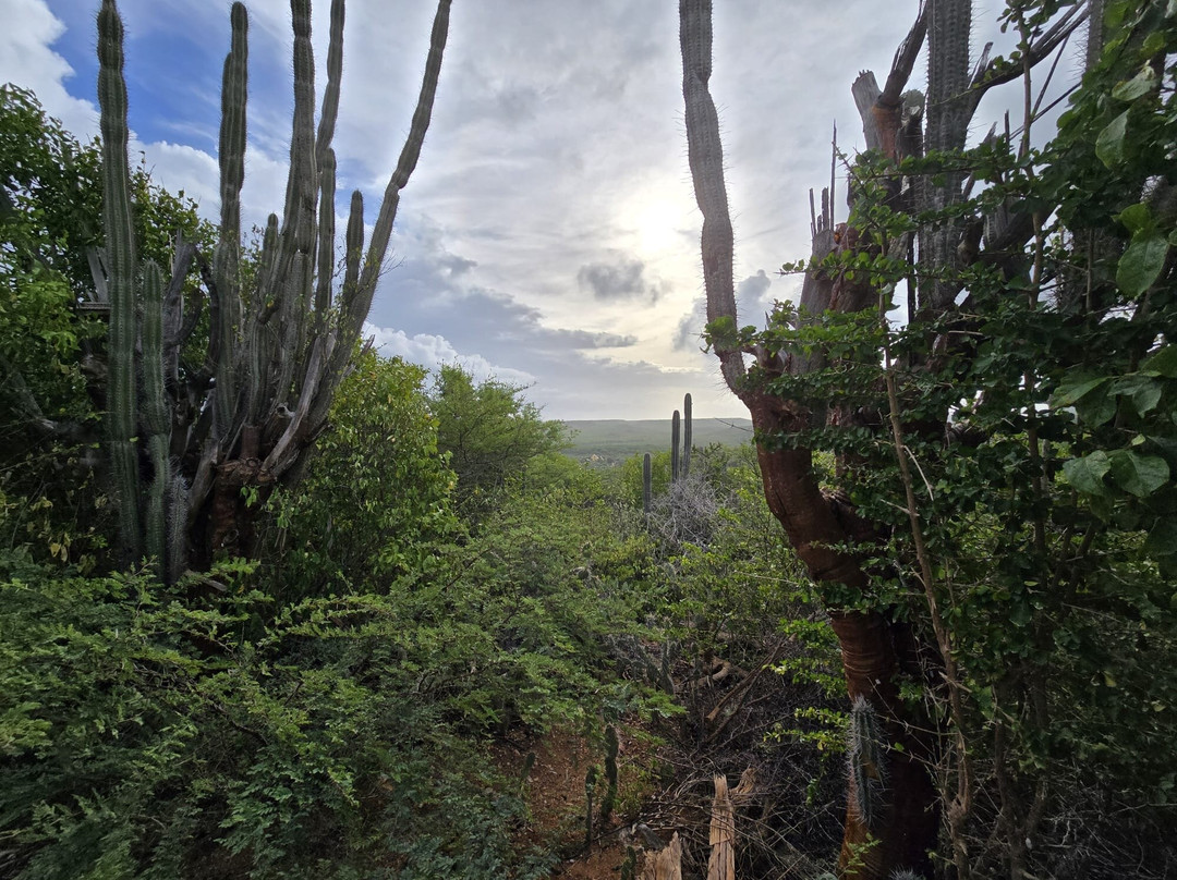 Mount Christoffel-Christoffel National Park必去景点