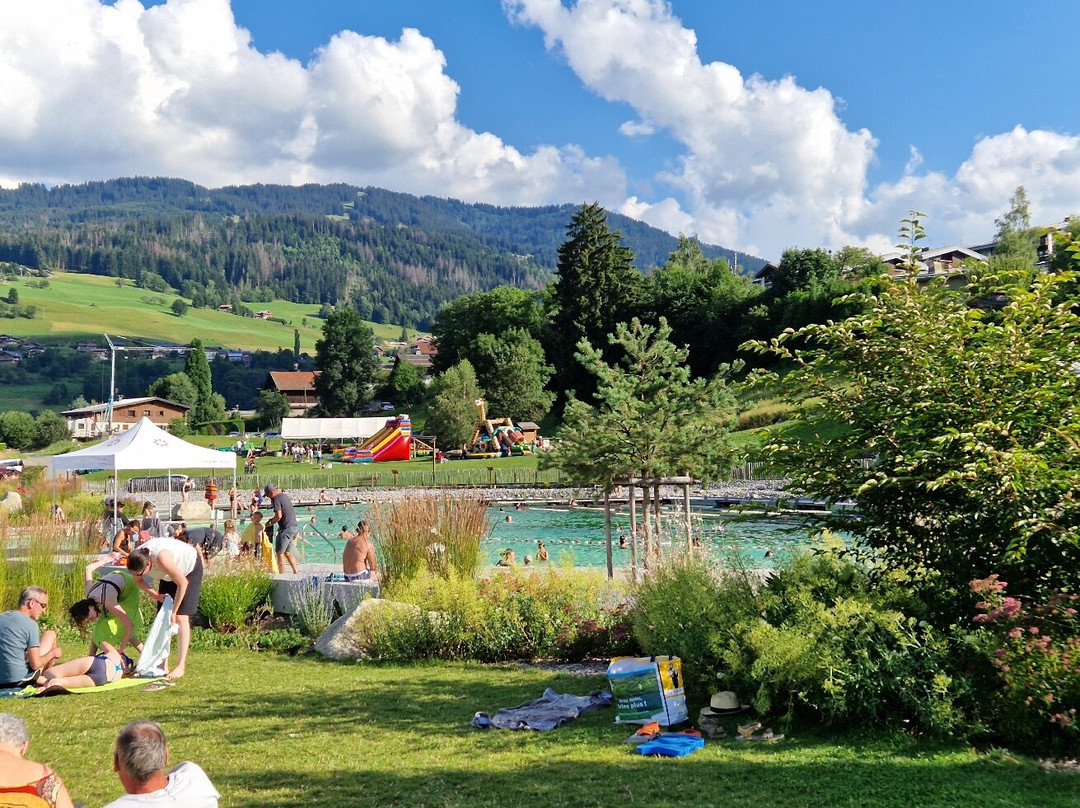 Combloux Ecological Moutain Lake景点图片