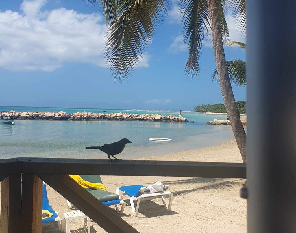 Coco Reef Resort and Spa主图