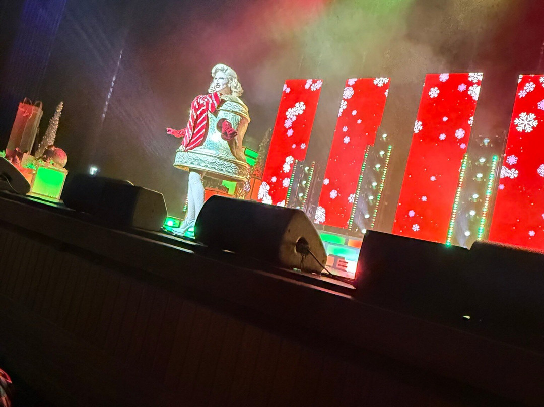 Straz Center for the Performing Arts-坦帕必去景点