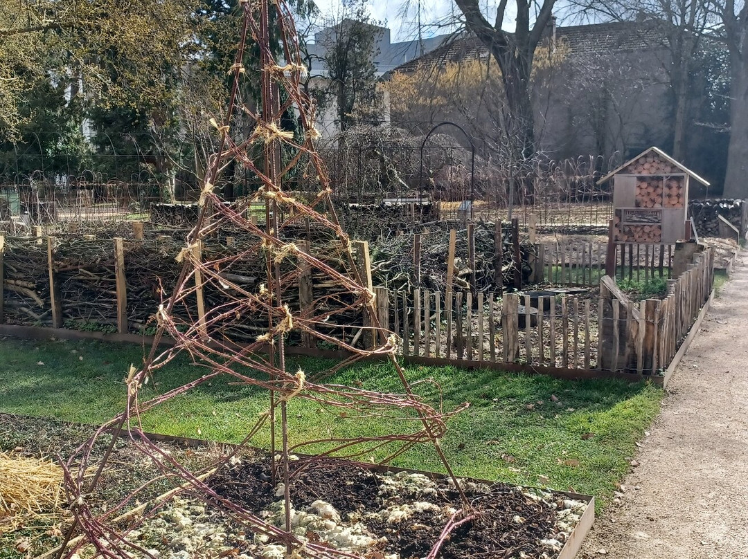Jardin Dominique Alexandre Godron Garden景点图片