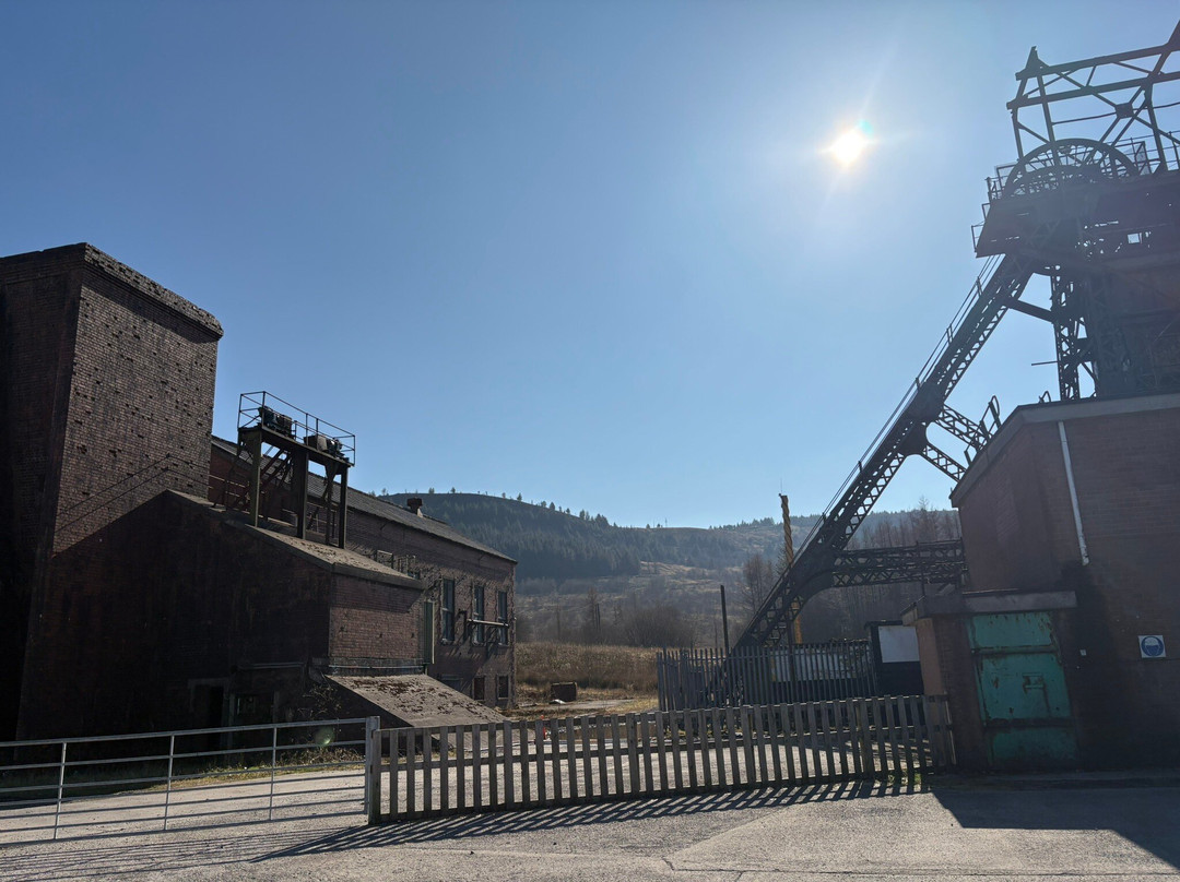 Zip World Tower景点图片