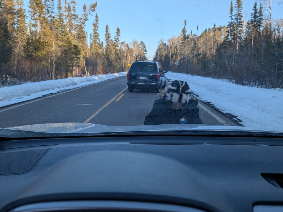 Kiwatchi Adventures-Isabella必去景点