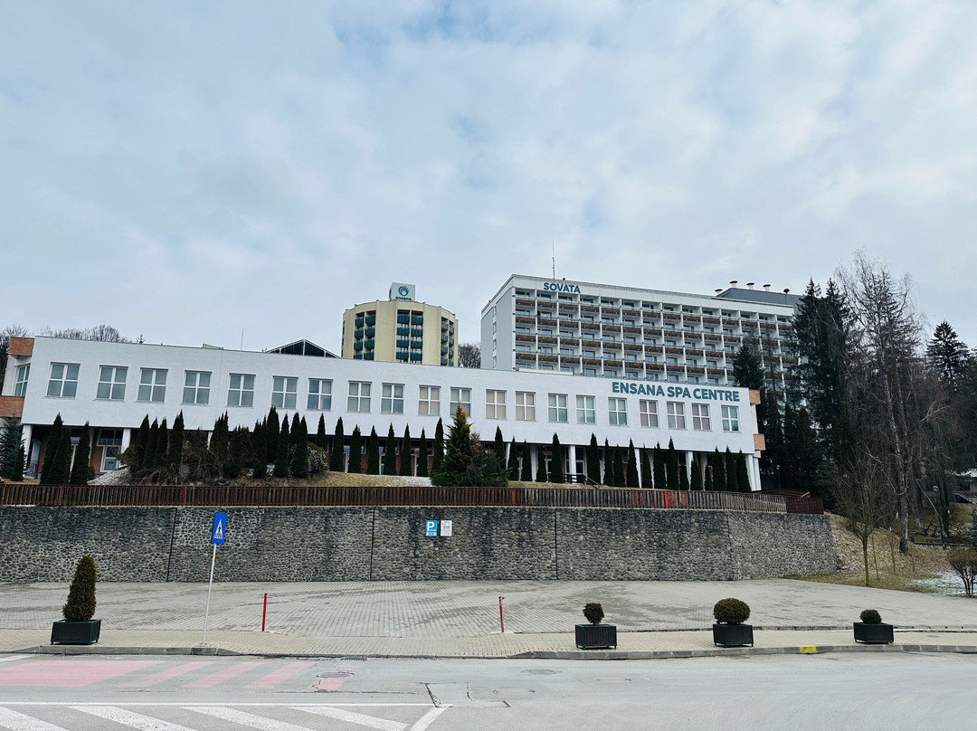 达努比斯索瓦塔水疗度假村主图