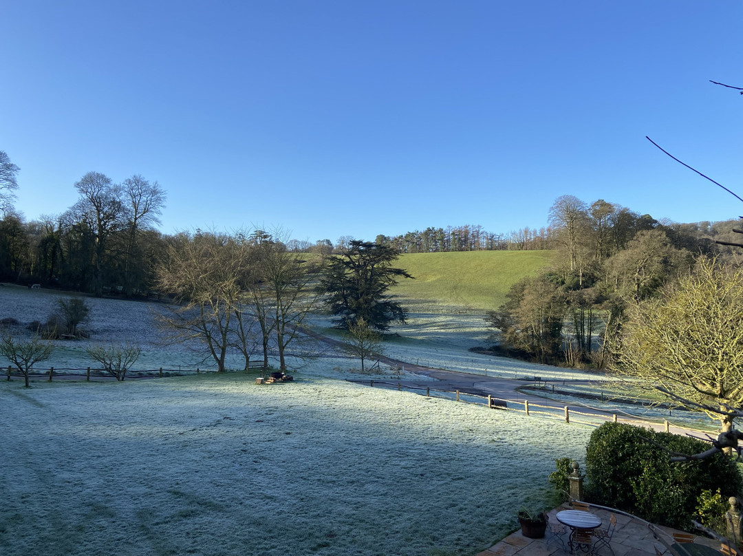 THE PIG - at Combe主图