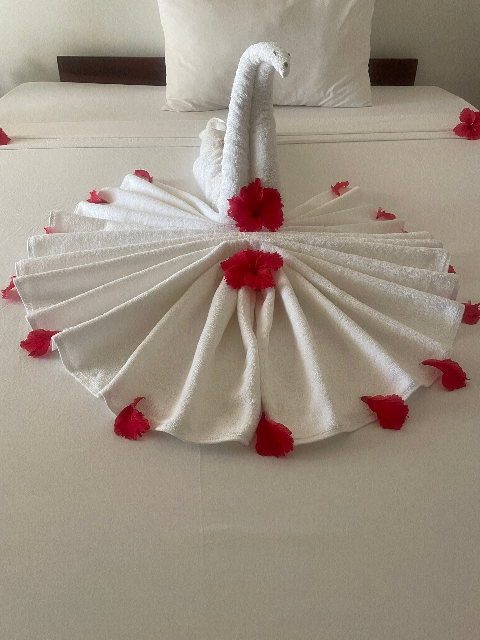 Marea Boutique Hotel-官方