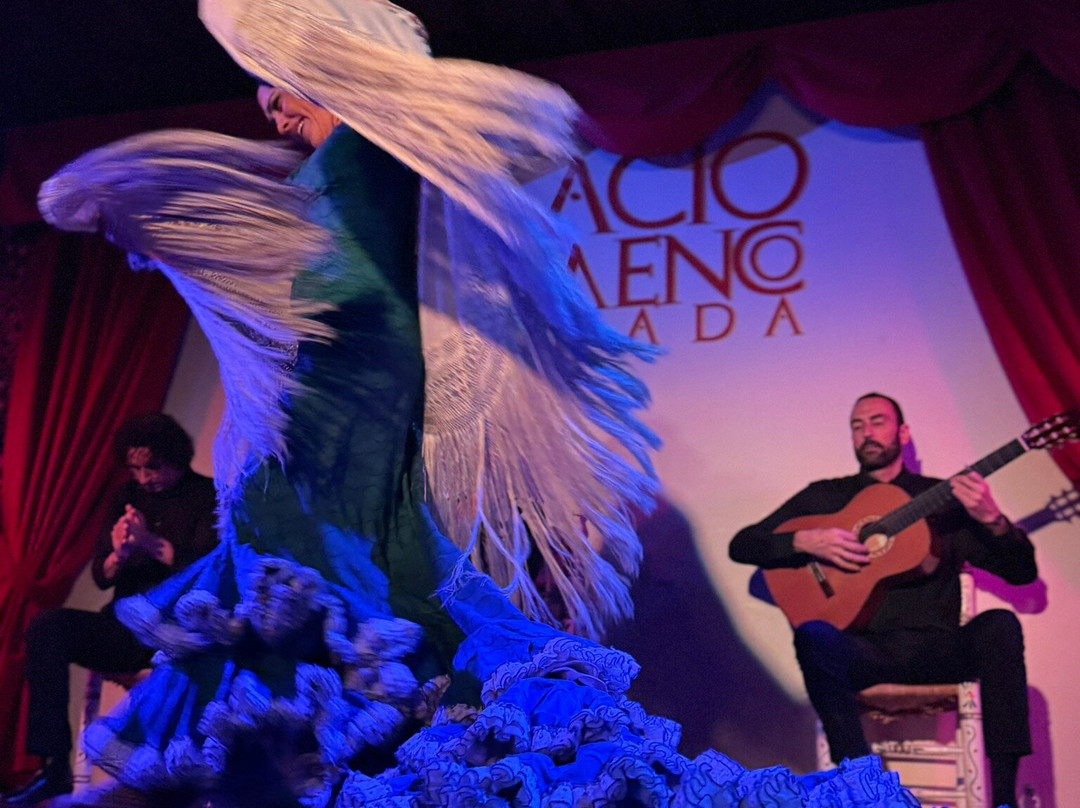 Palacio Flamenco景点图片