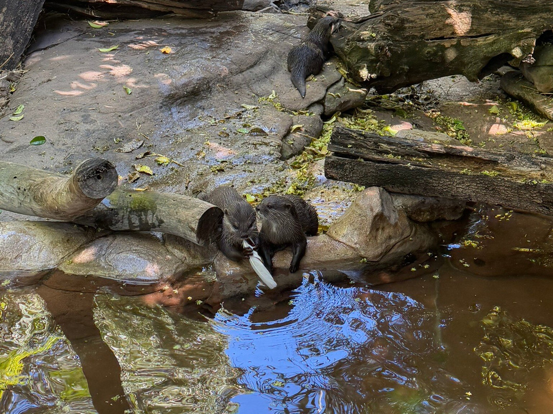 阿德莱德动物园-阿德莱德必去景点