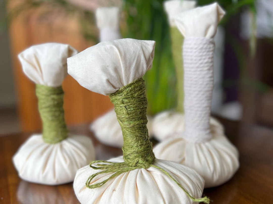 Green Ayurveda Spa景点图片